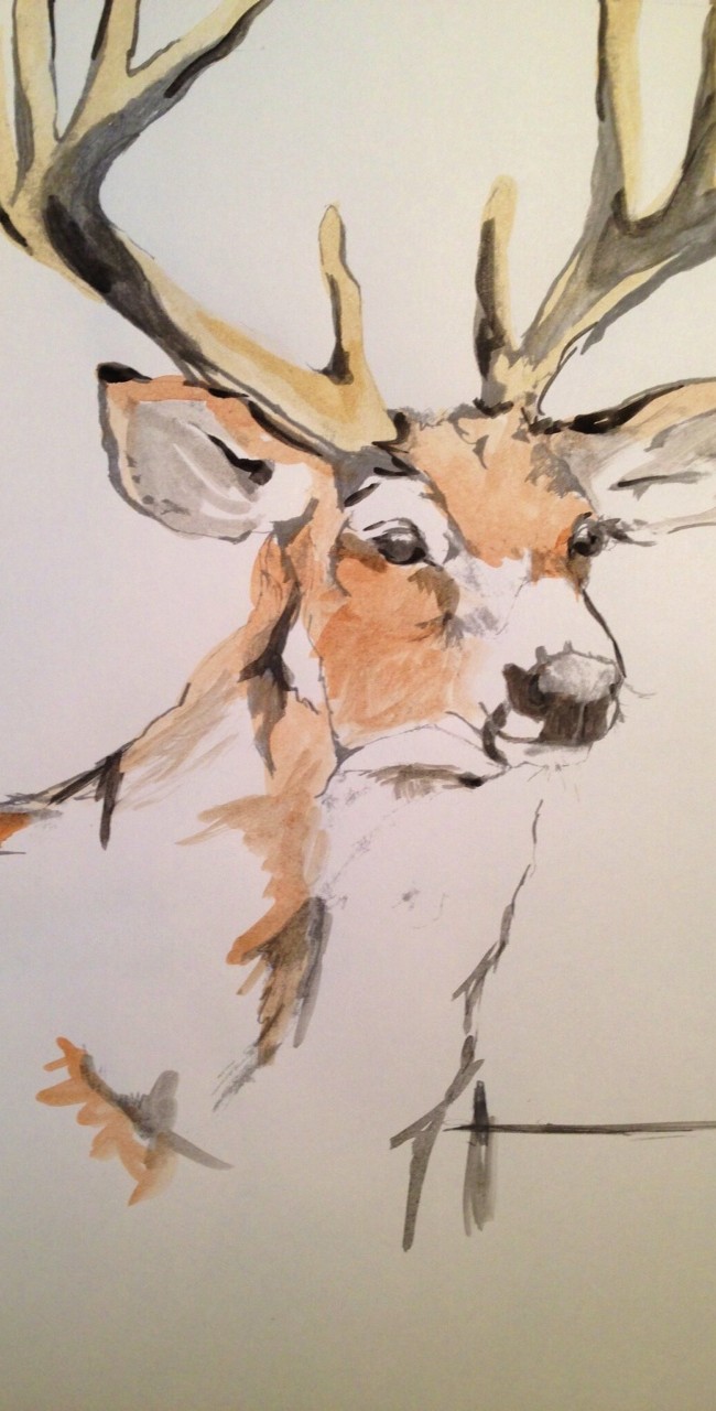 Buck #1 – 12 X 18 – Paper, Pencil, Watercolors